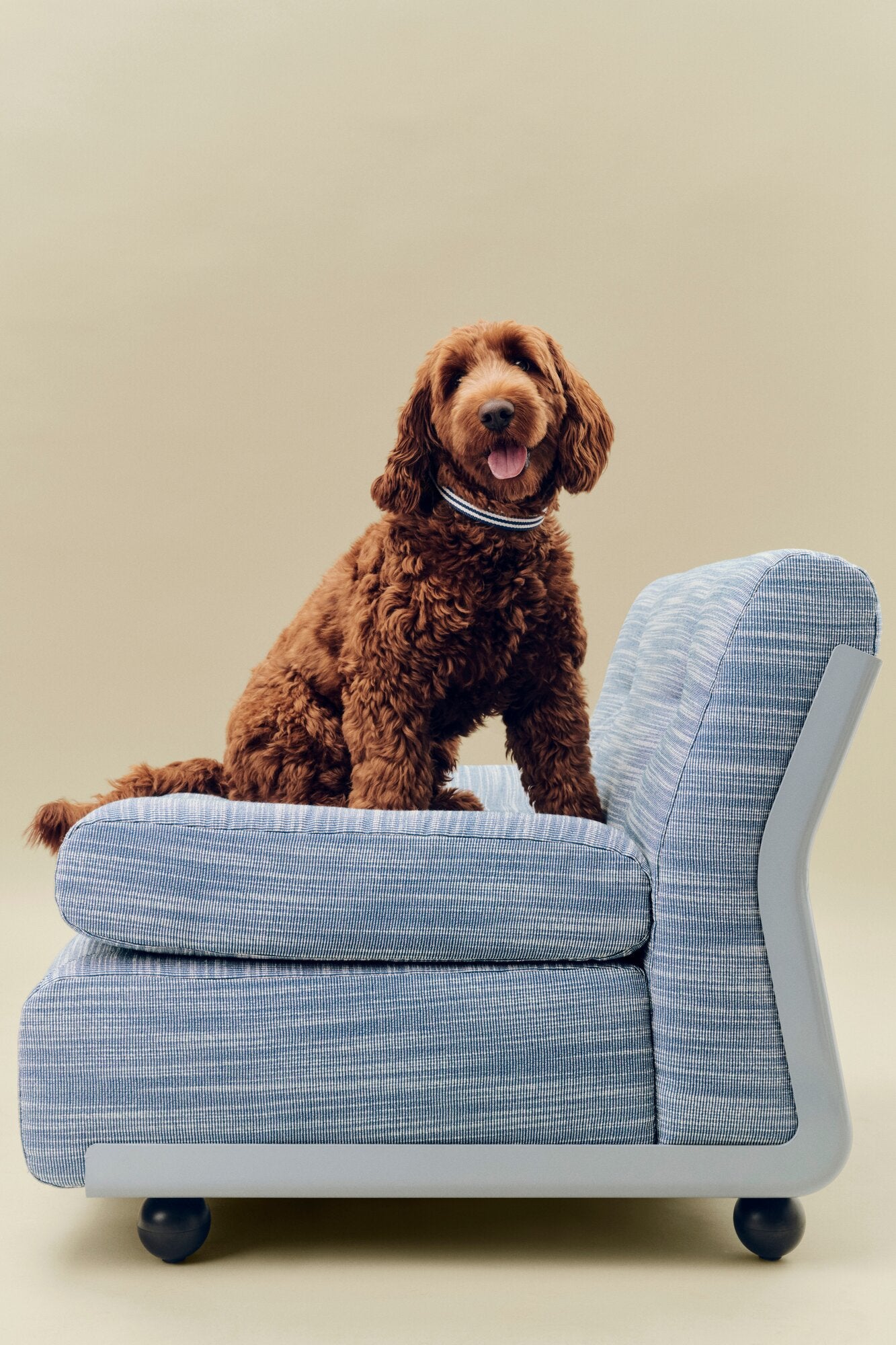 Flat hundehalsbånd - Blue and white stripe